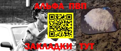 бошки Кингисепп