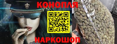 бошки Кингисепп