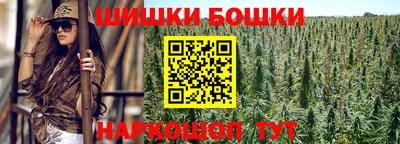 бошки Кингисепп