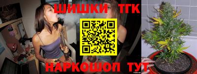 бошки Кингисепп