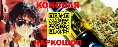 бошки Кингисепп