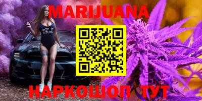 бошки Кингисепп