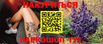 бошки Кингисепп