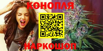 бошки Кингисепп