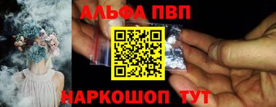бошки Кингисепп