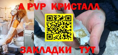 бошки Кингисепп