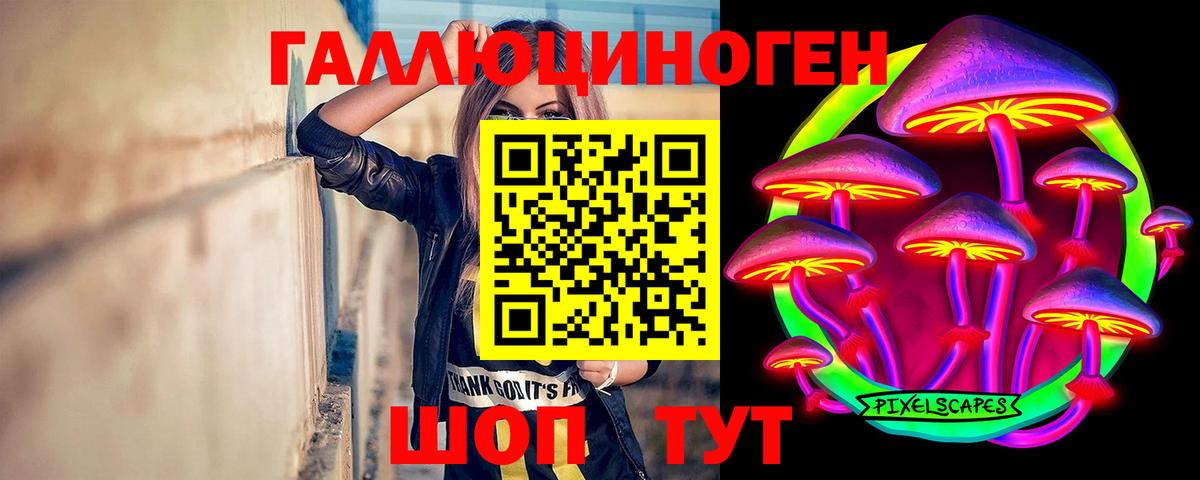 Красный Сулин  Псилоцибиновые грибы GOLDEN TEACHER  купить наркотик  Вход с VPN 